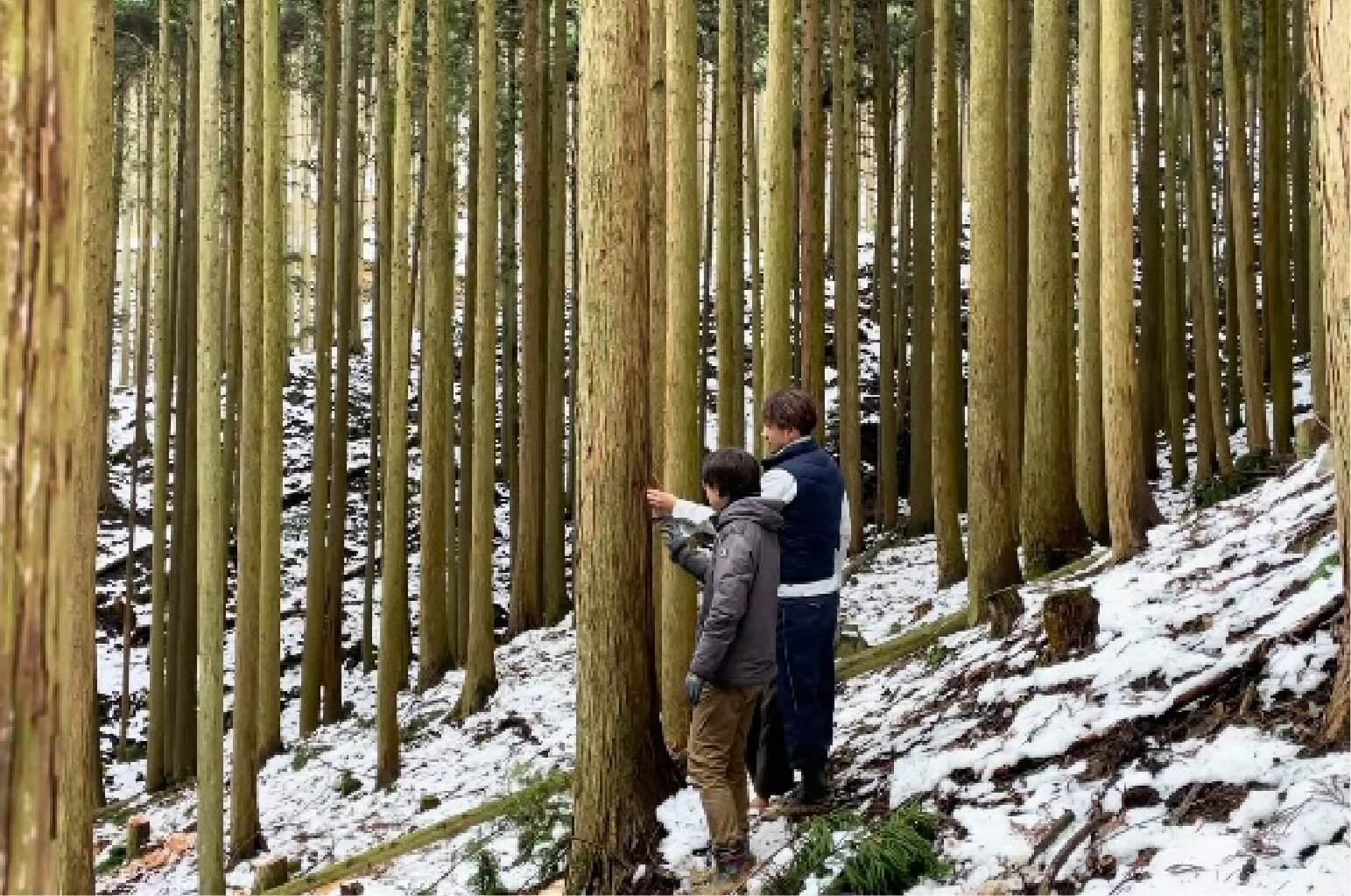 山で木を仕入れている写真