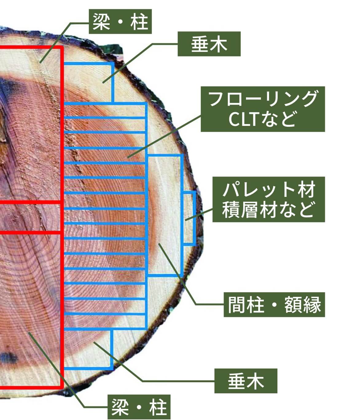 梁・柱　垂木　フローリングCLTなど　パレット材積層材など　間柱・額縁　垂木